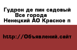 Гудрон де пин садовый - Все города  »    . Ненецкий АО,Красное п.